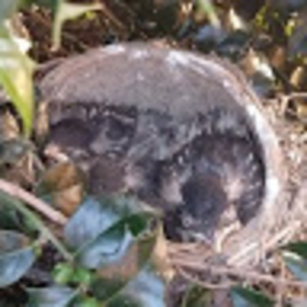 Meet your Posher, Jacob